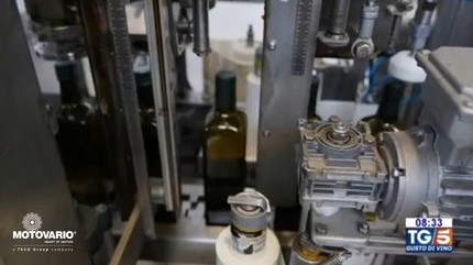 Have you seen the TG5 TV news programme ‘Gusto di Vino’? An exciting journey to discover one of Italy’s finest products: Apulia’s famous olive oil